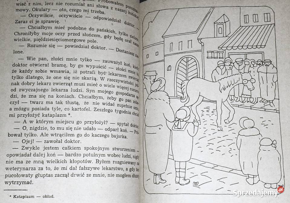 Doktor Dolittle i jego zwierzęta Hugh Lofting sprzedam