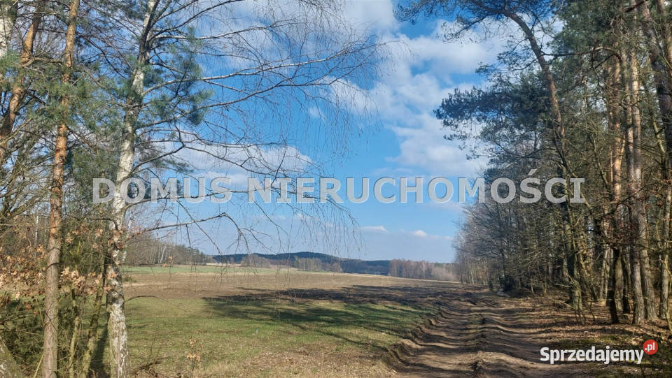 Sprzedam działka Grzmiąca 3511m2 sprzedam