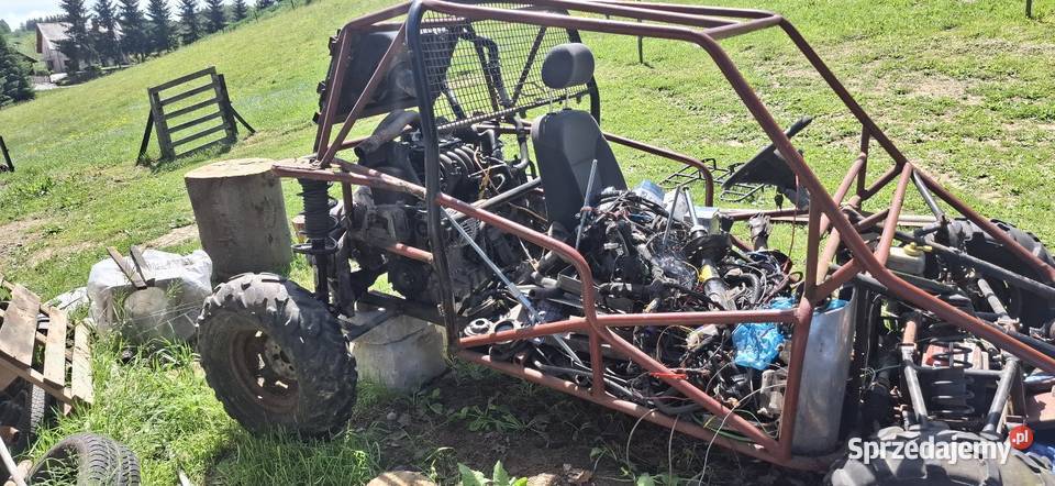 Buggy Strzyżów