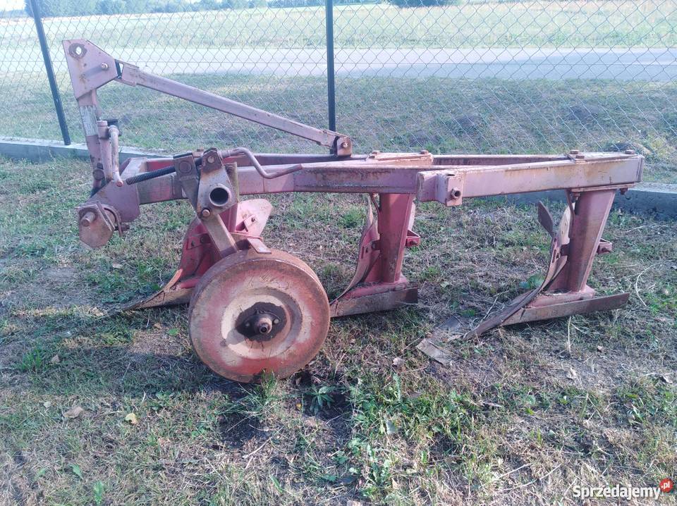 Plug mazowieckie Topolnica