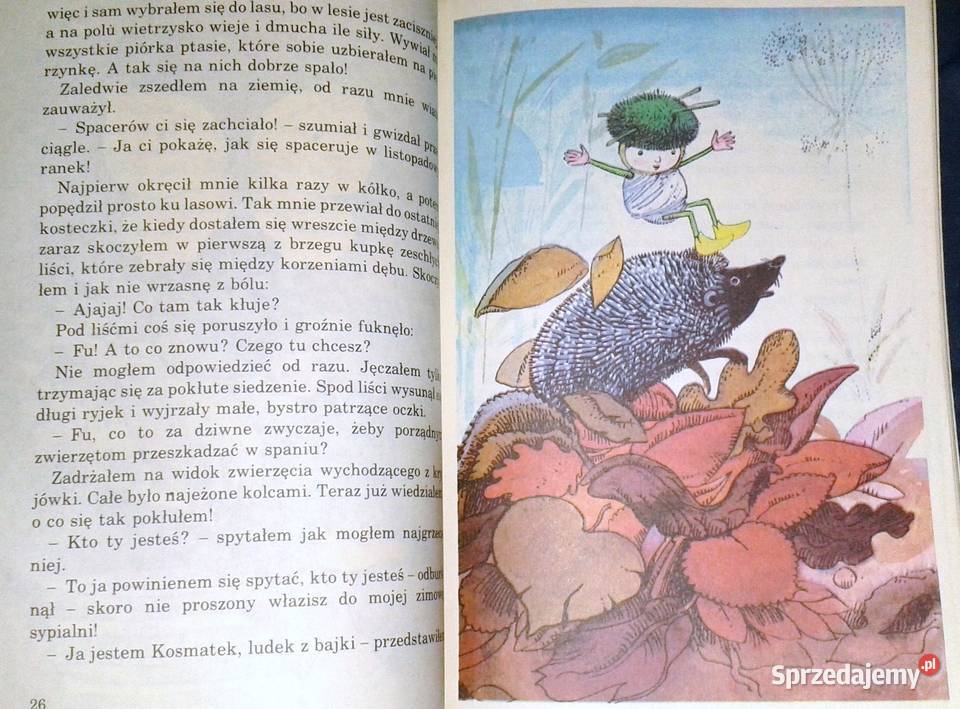 Kosmatek ze starej wierzby Hanna Zdzitowiecka miękka Chełm sprzedam