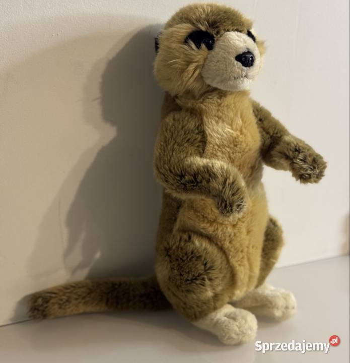 Maskotka surykatka mięciutka stojąca Pruszków