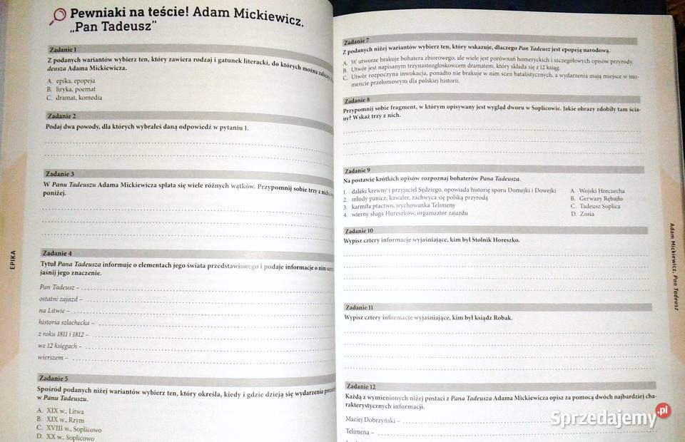 Język polski Egzamin ósmoklasisty na 100 miękka