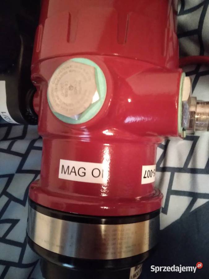 Detektor płomienia DetTronics Przedbórz