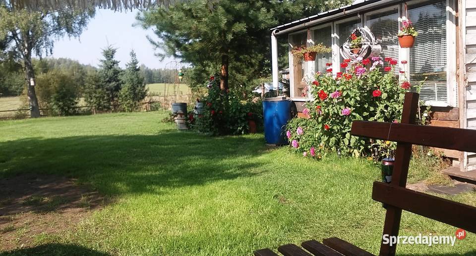 DZIAŁKA BUDOWLANA SIEDLISKO Z POTENCJAŁEM WÓLKA Wólka