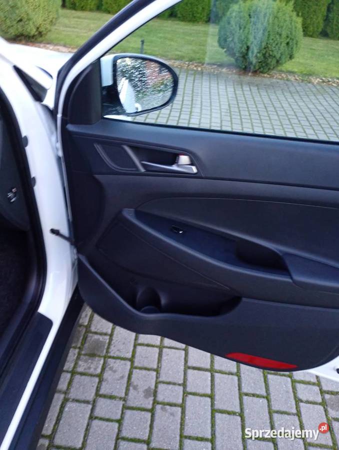 Sprzedam auto wielkopolskie