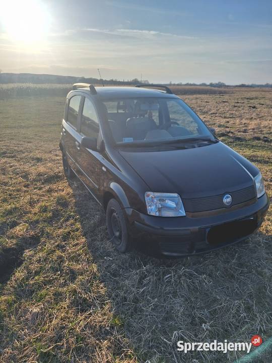 Fiat panda Rok produkcji 2003 Busko-Zdrój