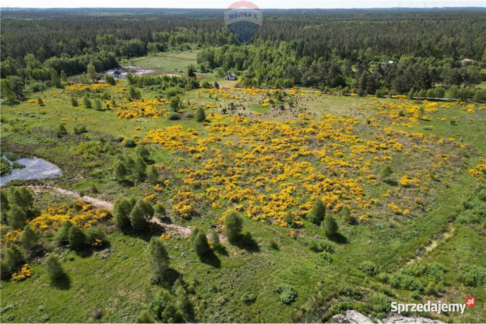 Działka pod siedliskoBukowaSmołdzino 171m pomorskie Bukowa