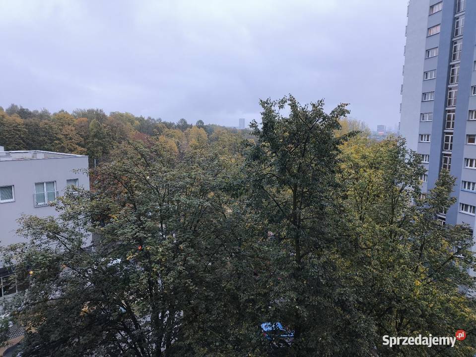 Mieszkanie Tysiąclecia Katowice zielona okolica Liczba pokoi 2 śląskie