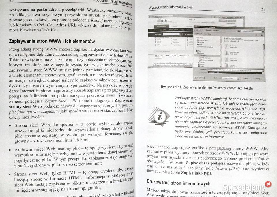 Popularne usługi internetowe Aleksander Bremer Chełm