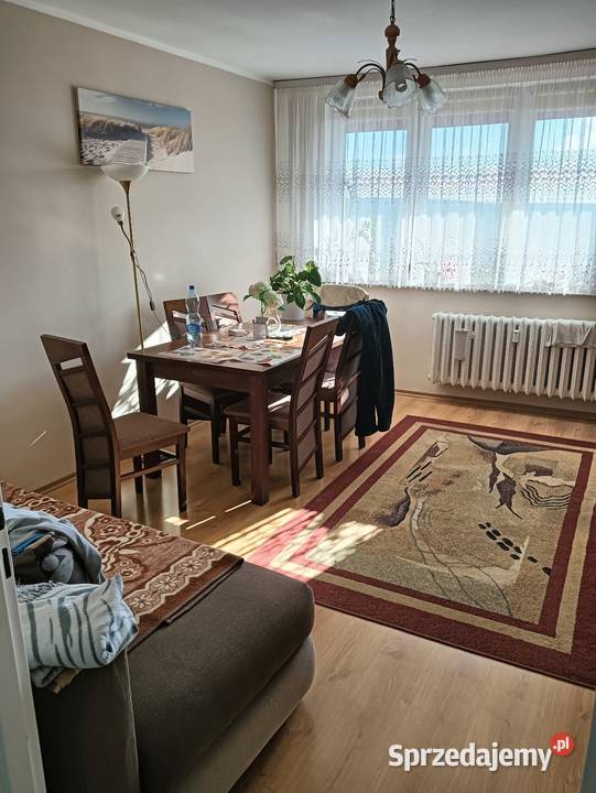 Sprzedam pustak