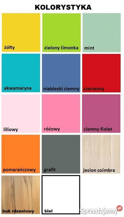 MIŚ 30 B10 biurko dziecięce 100x50 w74