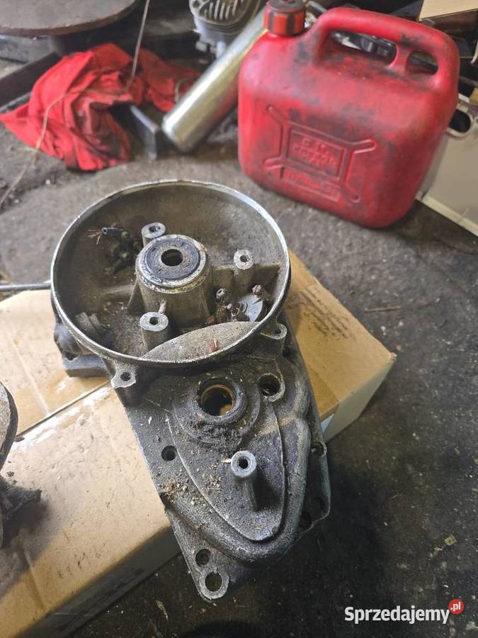 Kartery wsk 125 Gorzów Wielkopolski