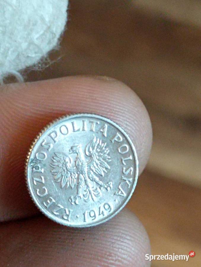 Sprzedam trzeci 1 grosz 1949 r bzm Kolekcje Chełm sprzedam