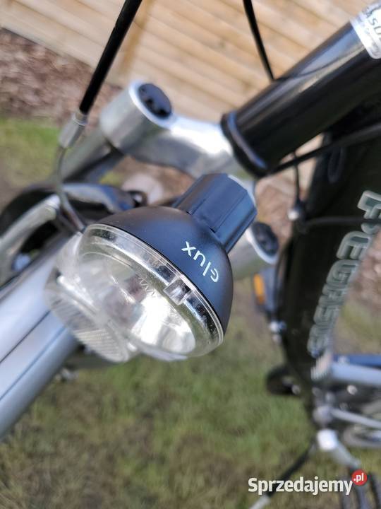 Pegasus Nexus 7Aluminium Rower Miejski Dębica