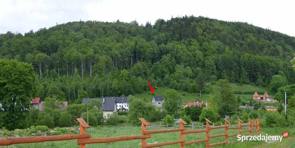 Dom do wykończenia na dużej działce