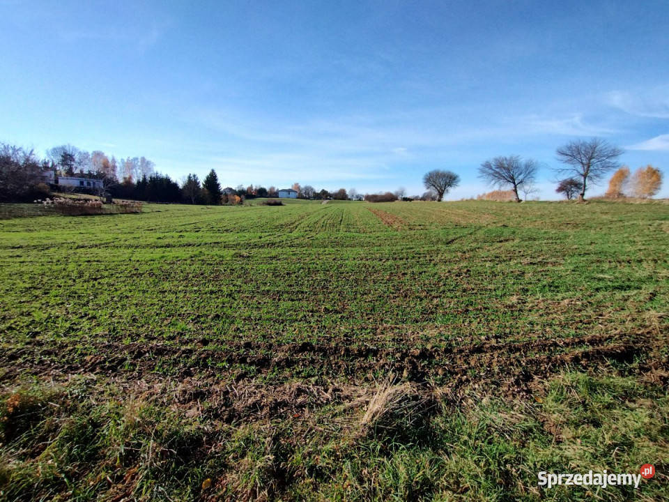 Działka 1436 metrów Snopków