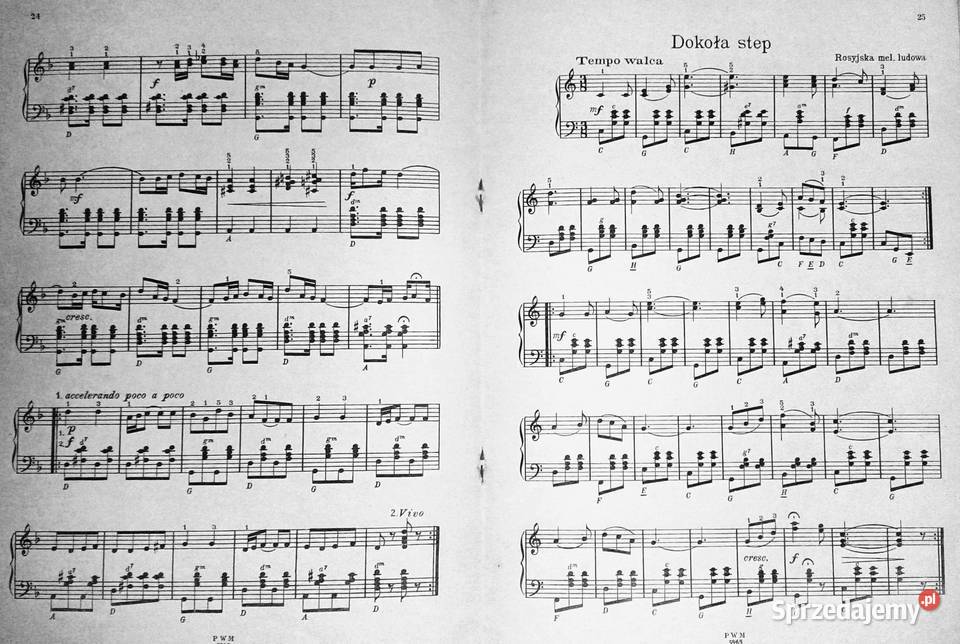 Skarbczyk akordeonisty Józef Powroźniak Chełm sprzedam