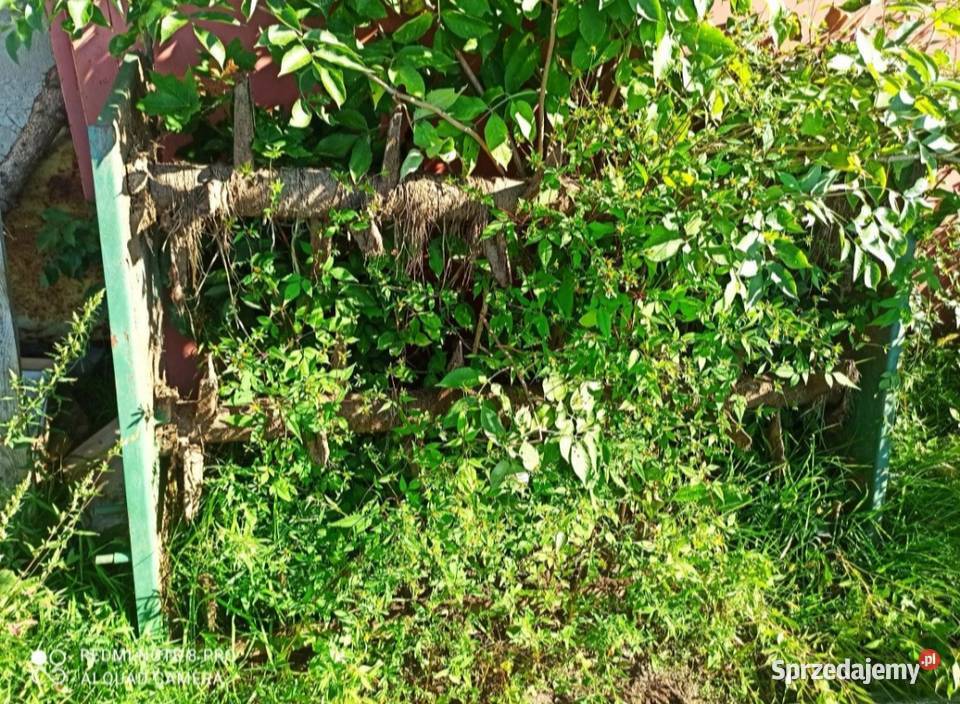 Rozrzutnik warfama N228 45 t Paprotnia