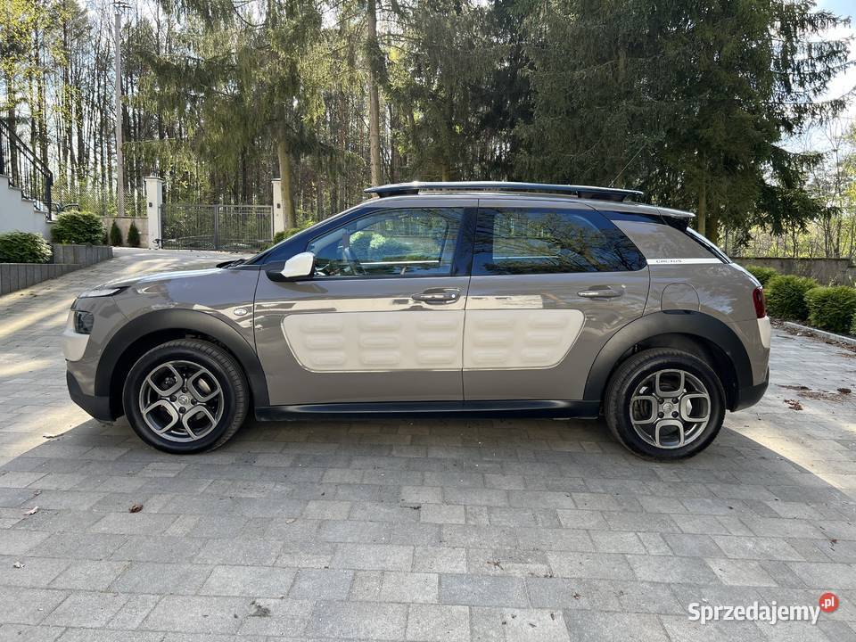 Cotron C4 CACTUS 2015 16 blue HDI automat C4 Cactus