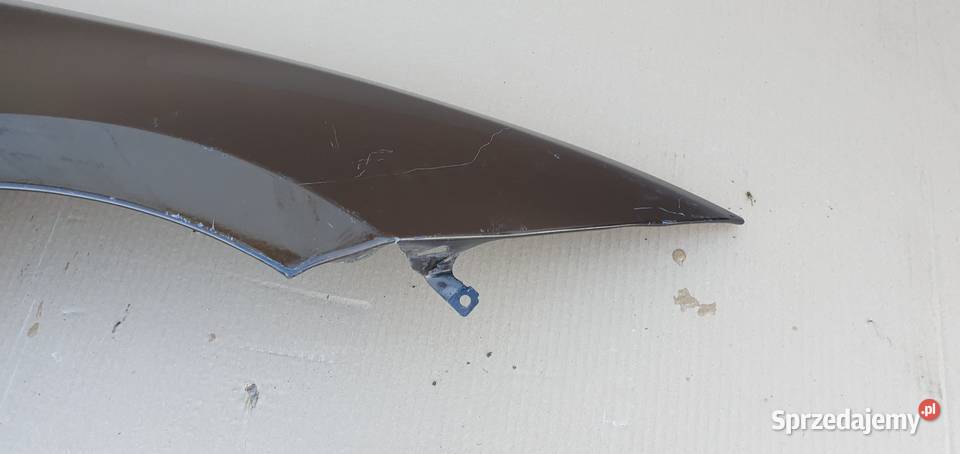 BMW 1 E87 BŁOTNIK PRAWY PRZÓD lubuskie Bieleń