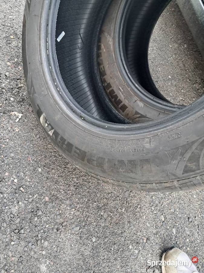 Opony Letnie Imperial 20555r16 2 2024r zachodniopomorskie Szczecin