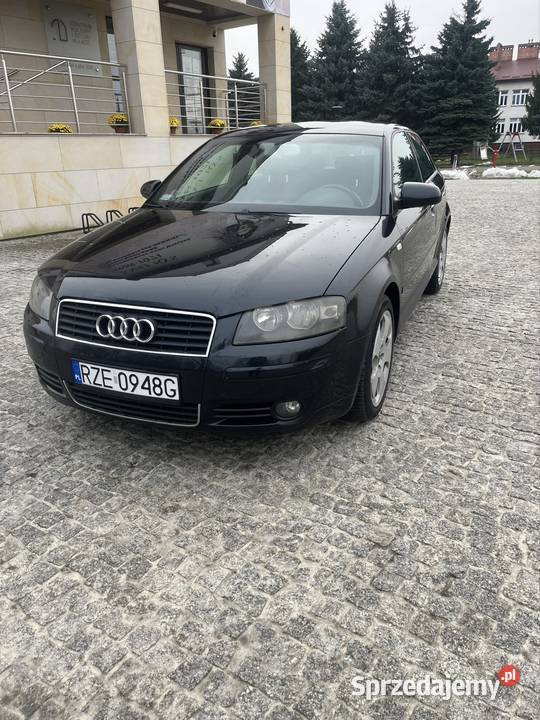 Audi a3 8p 19tdi 20tdi Rzeszów
