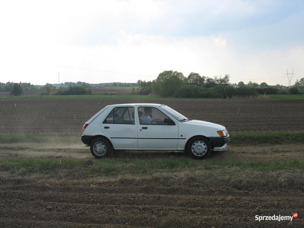 Legendarny Ford Fiesta wielkopolskie Poznań