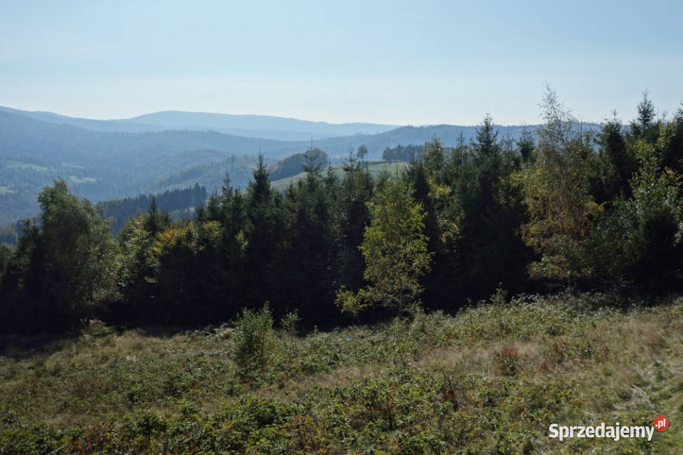 Brenna 253 ha działka inwestycyjna wyciągu sprzedam
