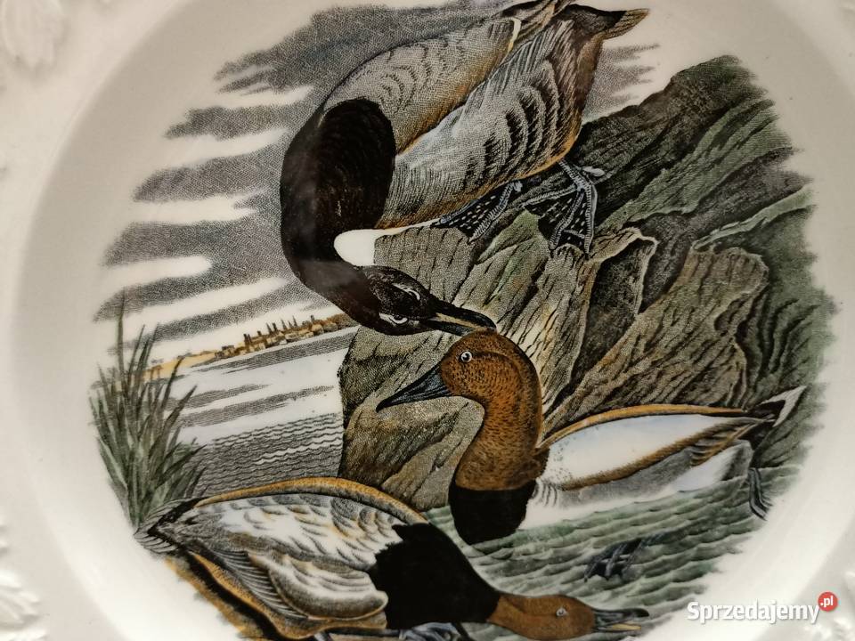 Talerz obiadowy burda America ilustra AUDUBONA Zamość