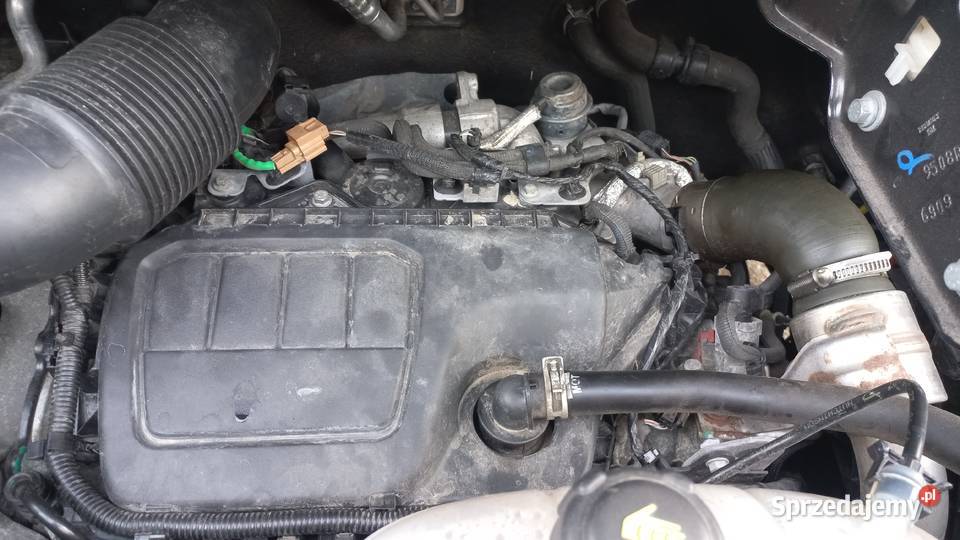 Fiat Talento Brygadówka 5 Osób Miłocice