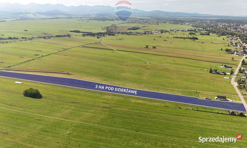 Wróblówka działka 3 ha do wynajęcia asfalt