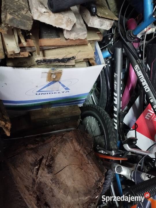 drewno drzewo na opal dwa duże kartony dwa wielkopolskie Poznań