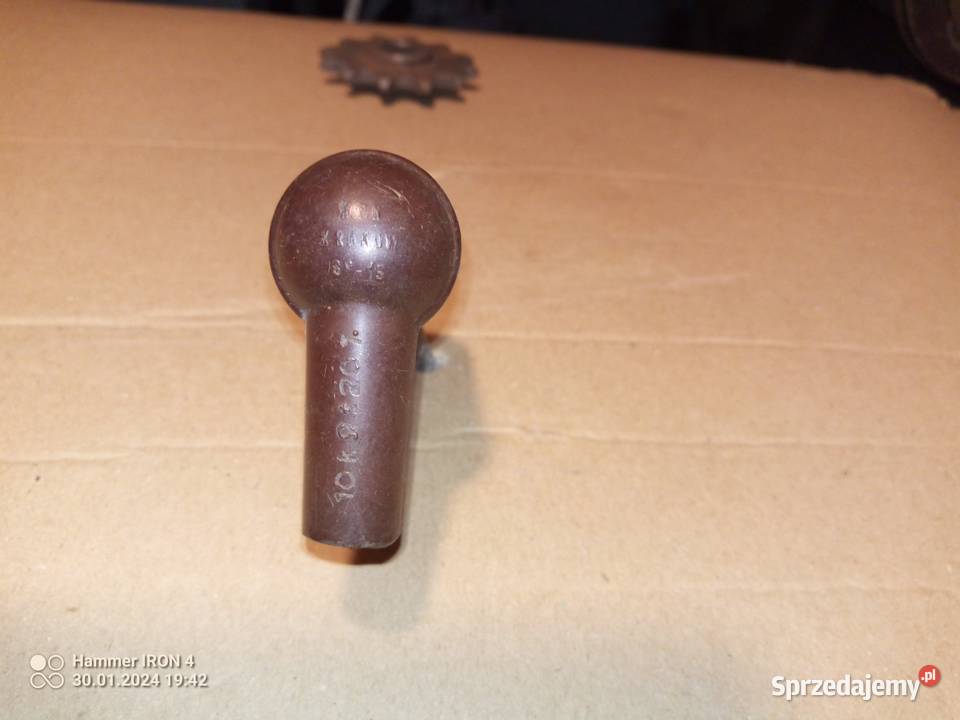 komar fajka żak ryś Międzychód