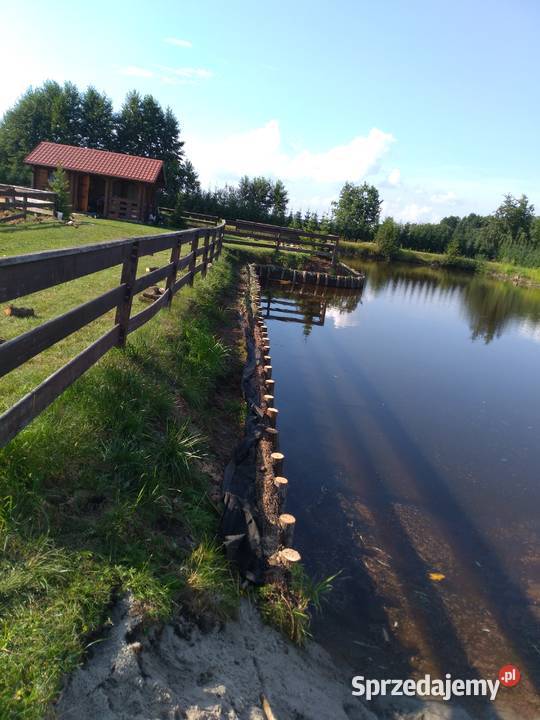 Faszynowanie stawów