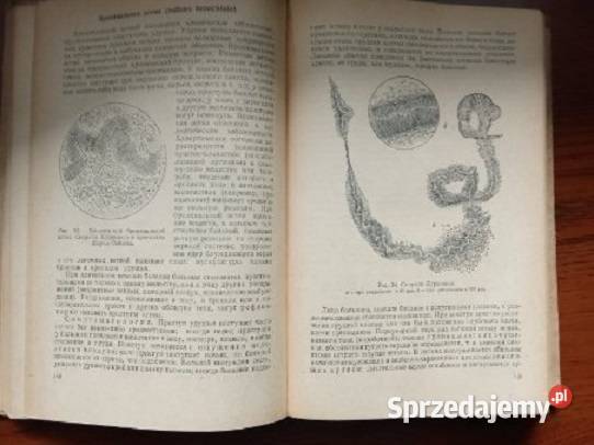 Choroby wewnętrzne Wasilienko 1950 rosyjski medycyna, nauki medyczne Książki i Podręczniki