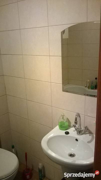 Mieszkanie pod Szyndzielnią ogród Rok budowy 1956 Bielsko-Biała