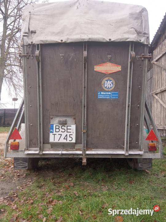 Przyczepka samochodowa Do przewozu koni