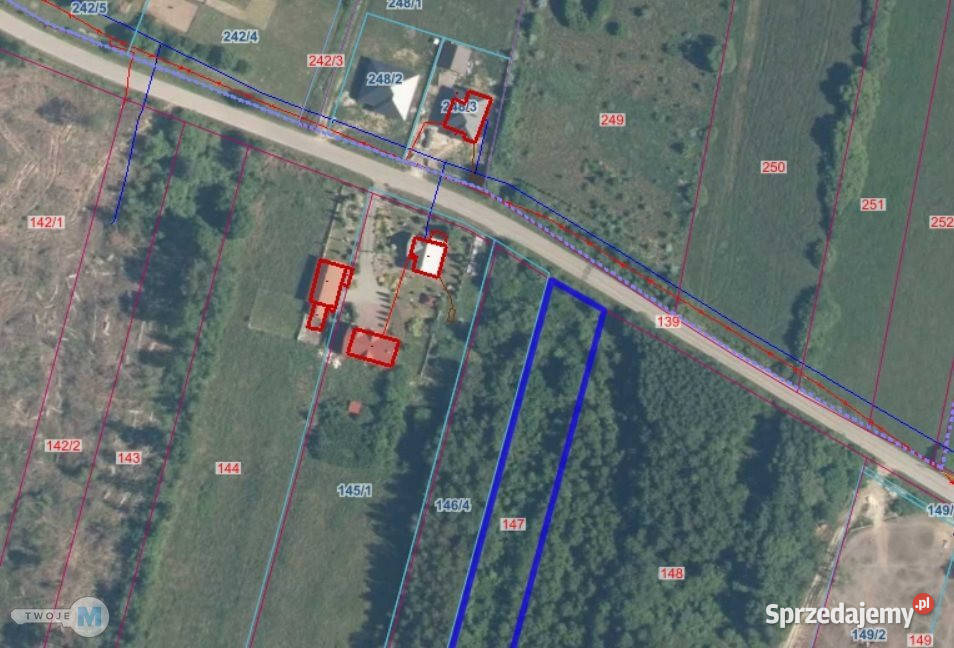 sprzedaży gruntu Raków 9100m2 kanalizacja sprzedam