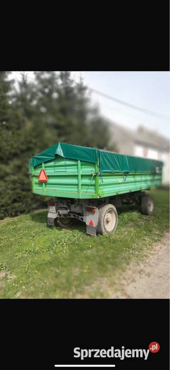 brandys bss 9 czeszka Jasienica Górna