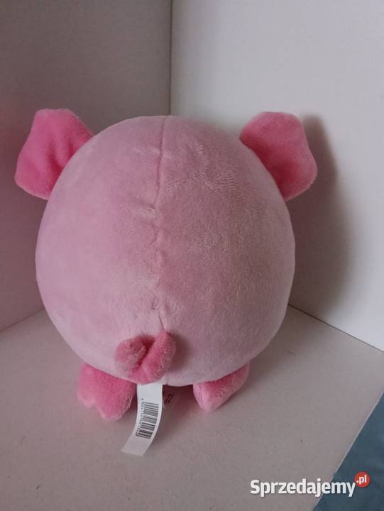 Maskotki różne rodzaje Dla Dziecka warmińsko-mazurskie Iława