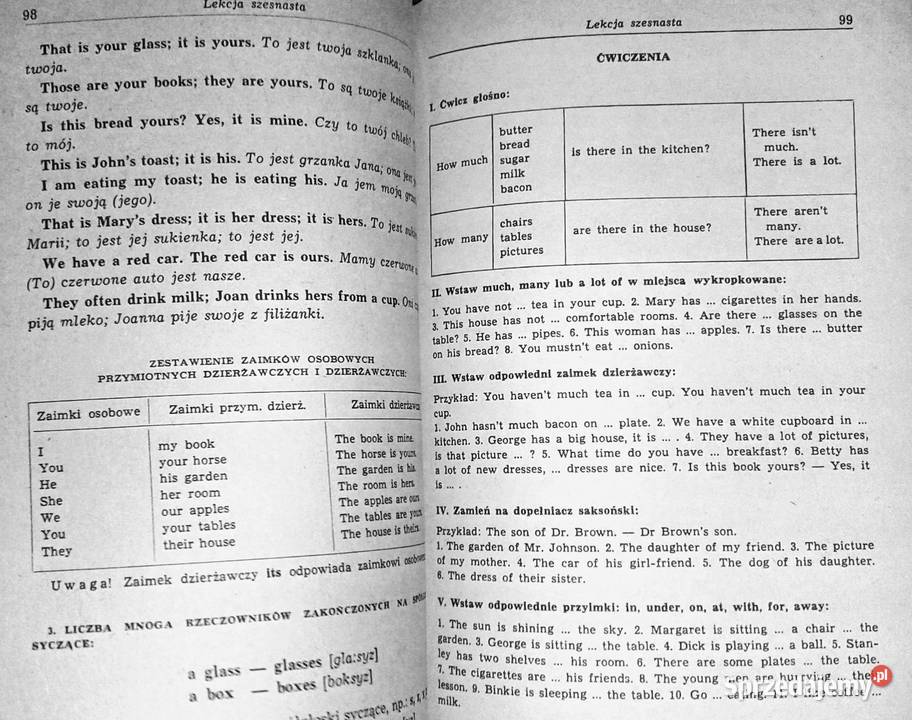 Język angielski początkujących Irena Dobrzycka Chełm