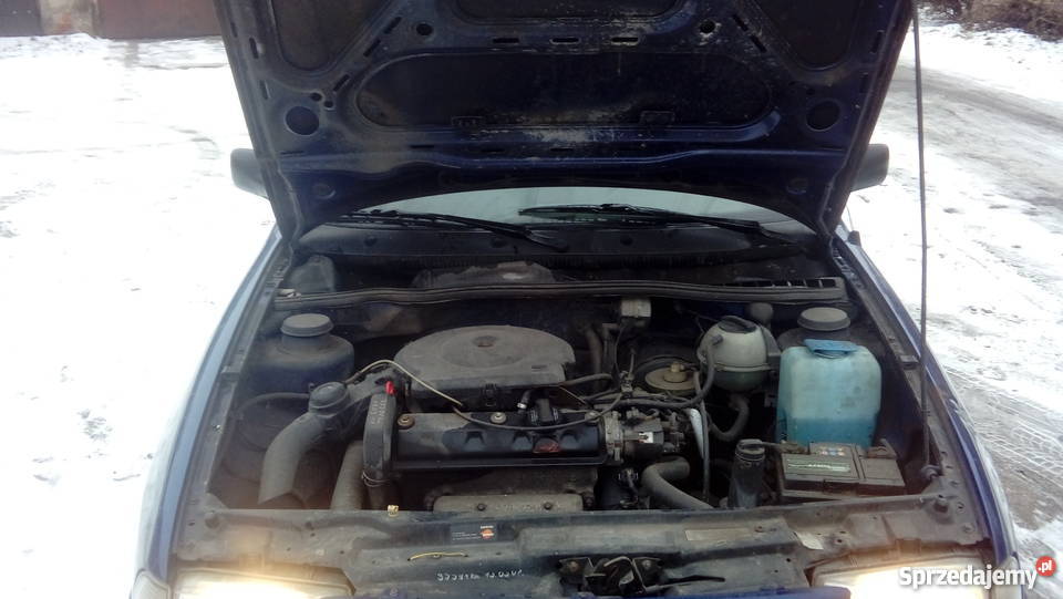 Seat Cordoba przeglądOC pół roku Zielona Góra