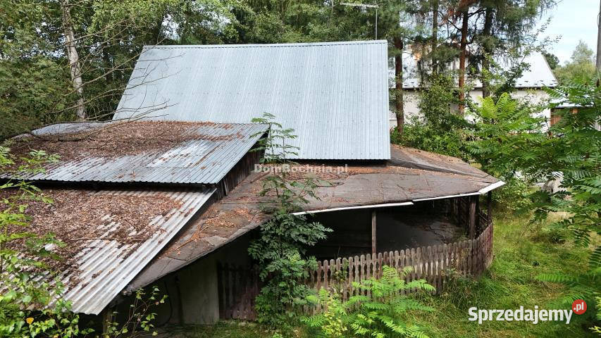 Działka Chronów 2400m2 2400m2 Nieruchomości sprzedam