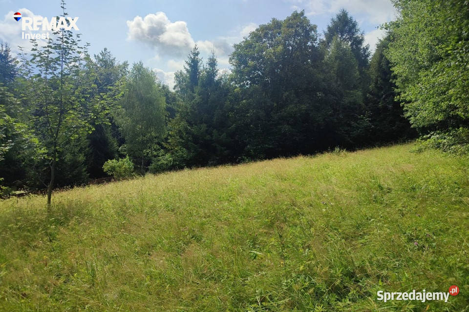 Laliki działka budowlana w rekreacyjnej okolicy 159zł/m2 sprzedam