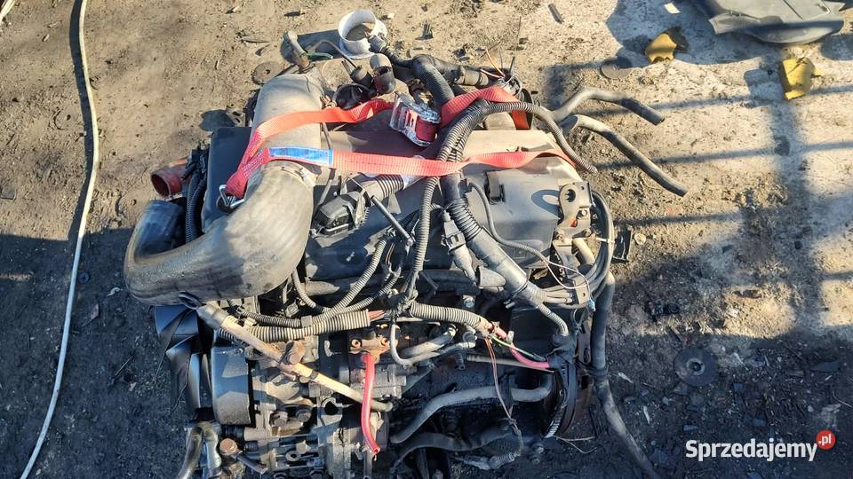 Silnik kompletny Iveco Daily III 28 wielkopolskie Książ Wielkopolski