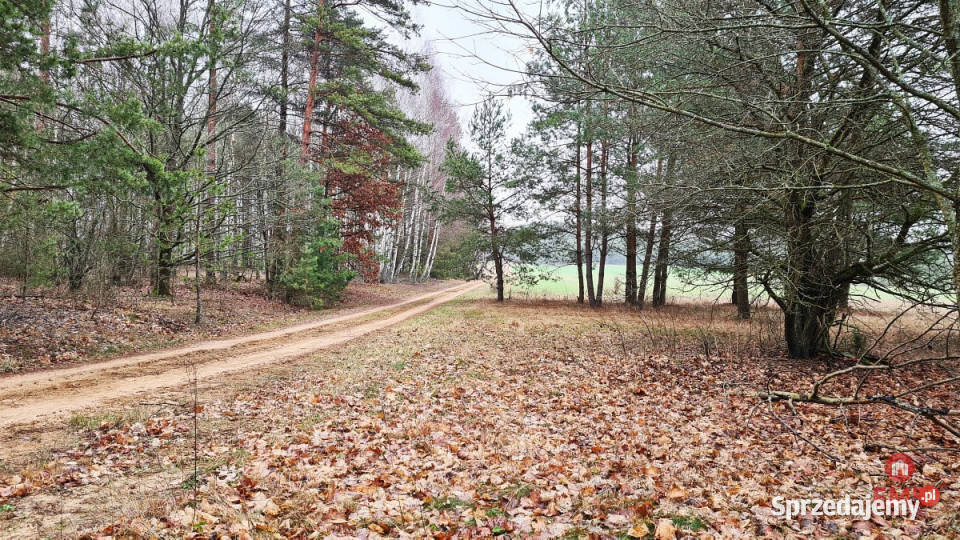 Grunt Pieńki 1743m2