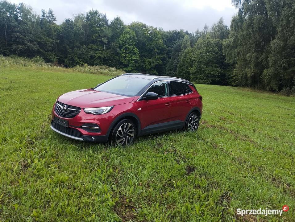 Opel Grandland X 20 177 Automat Full Grandland X Ćmińsk