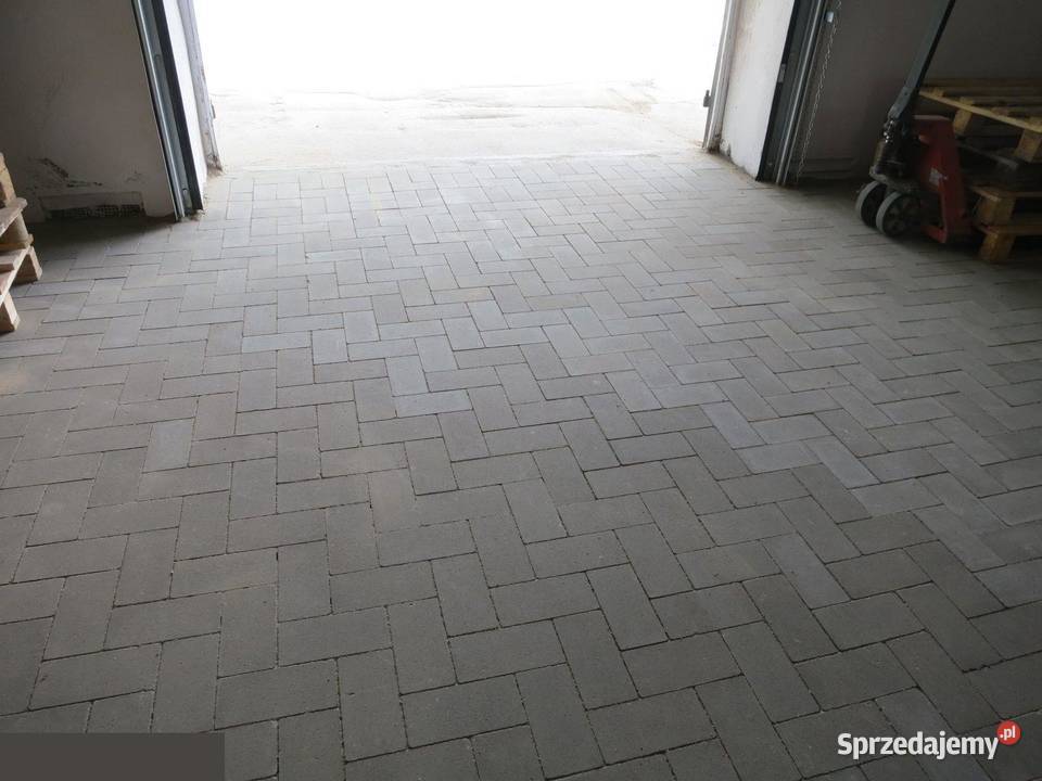 Wynajmę magazyn 100 m Przemysłowej 6 brama 4