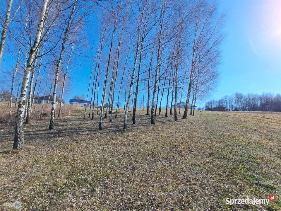 Działka Łagów 5974m2 5974m2